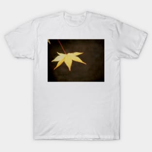 A Leaf at Sunset T-Shirt